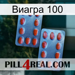 Виагра 100 05